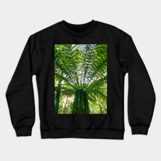 Tree Fern Crewneck Sweatshirt